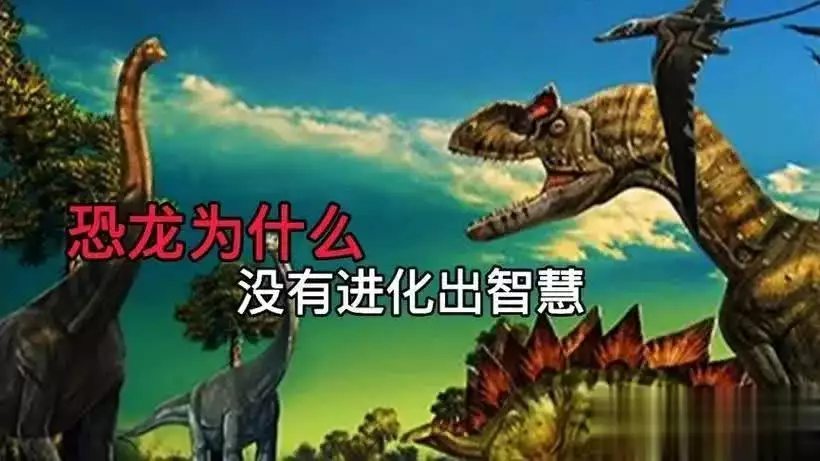 恐龙与人类：不同进化路径下的生存密码