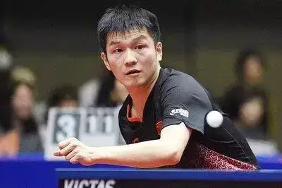 锤定音！暖心官宣，樊振东留洋暗藏回归大悬念？