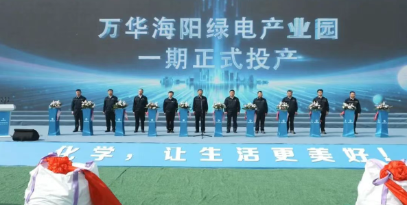总投资168亿！万华化学磷酸铁锂项目一期投产、二期开工
