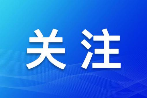 苏峪口瓷窑址：一窑青白瓷 见证西夏文明交融史