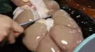 天然的“雄性激素”找到了,效果让人脸红,男人过五十要多吃!