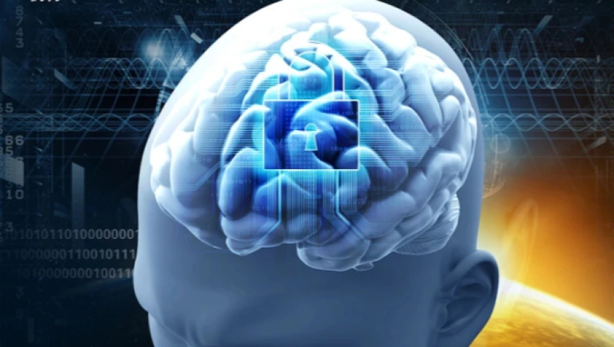 记忆奇点来临！人类三十万年遗忘被哈佛神经科学家终结